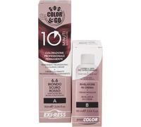 ALAMA PROFESSIONAL SOS COLOR&GO 10MIN Duo Set all
