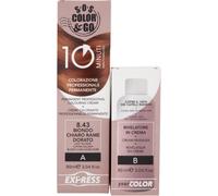ALAMA PROFESSIONAL SOS COLOR&GO 10MIN Duo Set all