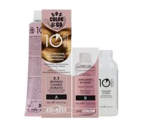 Alama S.O.S. Color & Go 10 minuti 8.3 90 + 90 ml - Colorazione permanente