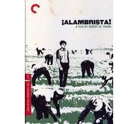 Alambrista (Criterion Collection) (DVD) Ned Beatty Trinidad Silva Julius Harris
