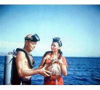 Alan Ladd Nei Panni Del Dott. James Calder, Poster Stampato 24x20"