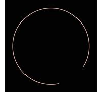 Alan Licht Into The Night Sky (CD)
