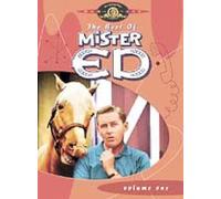 Alan Young - Mister Ed: Volume 1 [Edizione: Regno Unito] [Edizione: Regno Unito]