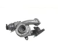 ALANKO 11901373 Turbina