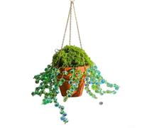 Alanmoship 1 kit fai da te per cesto di fiori con pietre preziose, realizzato a mano con perline di quarzo sintetiche, decorazione colorata da appendere per la festa della mamma (C)