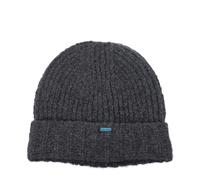 Alanui Gray Cashmere Beanie - UNI