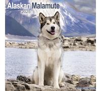 Alaskan Malamute 2025 Square Wall Calendar | Dog Breed Calendar: Original Avonside-Kalender [Mehrsprachig] [Kalender]