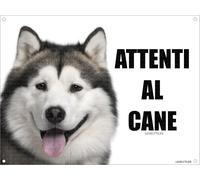 ALASKAN MALAMUTE Attenti Al Cane Mod 2 TARGA Cartello in METALLO (20X30)