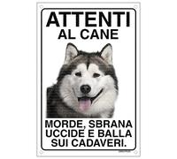 ALASKAN MALAMUTE Attenti al cane morde sbrana uccide e balla sui cadaveri (20X30)