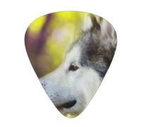Alaskan Malamute Bokeh Animali Domestici Cani Carini,12 pezzi di plettri per chitarra, 3 plettri di diverso spessore per chitarra acustica, basso, ukulele