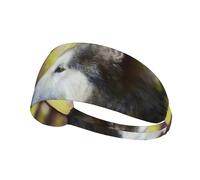 Alaskan Malamute Bokeh Animali Domestici Cani Carini,Fascia elastica per capelli multiuso unisex, fascia antisudore sportiva