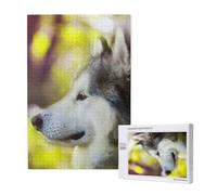 Alaskan Malamute Bokeh Animali Domestici Cani Carini,Puzzle in legno da 1000 pezzi per adulti e adolescenti