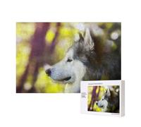 Alaskan Malamute Bokeh Animali Domestici Cani Carini,Puzzle in legno da 300 pezzi per famiglie, per adulti e adolescenti, decorazioni per la casa