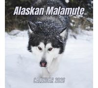 Alaskan Malamute Calendar 2026: 12 Months Organizer From January to December