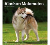 Alaskan Malamutes | 2027 12 x 24 Inch (Hanging) Monthly Square Wall Calendar | Plastic-Free | BrownTrout | Animals Dog Breeds