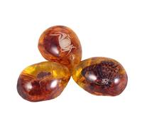Alasum 3 Pezzi Ambra Naturale con Insetto Specimen Educativo Ambra Non Trattata con Farfalla e Scorpione per Decorazione Soggiorno o Altri Luoghi