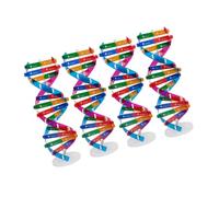 Alasum 4 pezzi Kit Didattico Dna Doppia Spirale con Supporto Espositivo Riproduzione Genetica Umana per Apprendimento Scientifico e Educazione Biologica Strumento Interattivo per