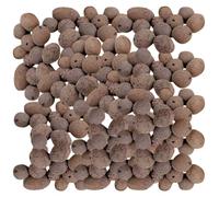 Alasum Ceramsite Traspirante per Giardinaggio 1 kg, Argilla Espansa Drenante per Rinvaso Piante e Decorazione Vaso, Pietra Leggera Porosa per Coltivazione e Paesaggistica