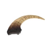 Alasum Decorazione Design Dettagliato e Autentico in Resina Realistica Artiglio di Dinosauro Opera Educativa a Tema Preistorico per Uffici e Librerie