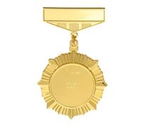Alasum Medaglia in Lega di Zinco Oro Vintage Elegante per Uomo, Spilla Leggera e Portatile per Club e Aziende