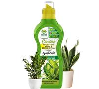 Albagarden - Concime Piante Verdi - 1 KG - Equilibrato, Fertilizzante Nutriente Fogliare Per Giardino, Orto e Piante In Vaso, Con Alto Titolo Di Azoto