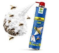 Albagarden - Insetticida Schiuma Vespe e Calabroni 750ml - Spray Schiumogeno a L