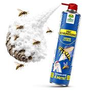 Albagarden - Insetticida Schiuma Vespe e Calabroni 750ml - Spray Schiumogeno a Lunga Gittata oltre 4 Metri - Formato Maxi Per Disinfestazione - Azione Abbattente e Residuale - Nidi e Insetti Volanti