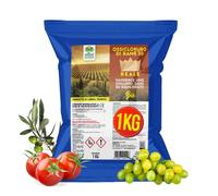 ALBAGARDEN Ossicloruro di rame reale 30% concime 1 KG