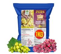 Albagarden - Polti20 Bordolese Biologico 1 Kg - Con Rame Naturale + Boro Per Piante Frutta Orto Vite - Contro Peronospora Oidio Verderame Solfato Ossicloruro