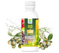 Albagarden - Rame e Zolfo per Piante - Fungicida e Concime Minerale - Contro Malattie come Oidio Mal Bianco Peronospora Ticchiolatura Per Vite Olivo Agrumi (1 kg)
