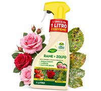 Albagarden - Rame + Zolfo Spray - Effetto Fungicida per Piante - MAXI x 1L - Con