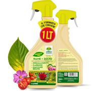 Albagarden - Rame + Zolfo Spray - Effetto Fungicida per Piante - MAXI x 1L - Concime Potente per Piante Contro le Malattie - Per Ingiallimenti, Carenze, Macchie Brune, Oidio, Peronospora
