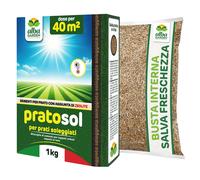 Albagarden - Semi Prato Resistente Alla Siccità - 40m² - Sementi Erba per Tappet