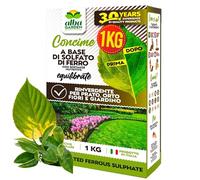 Albagarden - Solfato Di Ferro Granulare - ELIMINA MUSCHIO - Concime RINVERDENTE Antimuaschio Fogliare E Acidificante Della Terra - Per Prato e per tutte le Piante x 1 kg