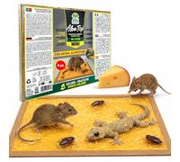 Albagarden - Trappola Adesiva MINI per Topi, Ratti, Scarafaggi, Formiche e Lucertole. Tavoletta con Colla Potente e Aroma Alimentare, Uso Interno ed Esterno x 6 Pz