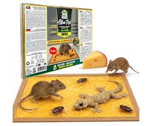 Albagarden - Trappola Adesiva MINI per Topi, Ratti, Scarafaggi, Formiche e Lucertole. Tavoletta con Colla Potente e Aroma Alimentare, Uso Interno ed Esterno x 6 Pz