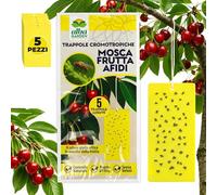 Albagarden - Trappola Cromotropica Gialla Per Mosca della Frutta - Adesiva A Doppia Forza - Pannelli Cattura Insetti, Trappole Anti Insetti X 10 Pz