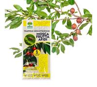 Albagarden - Trappola Cromotropica Gialla Per Mosca della Frutta - Adesiva A Doppia Forza - Pannelli Cattura Insetti, Trappole Anti Insetti X 5 Pz