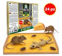 Albatop Trappola Super Adesiva Mini per Topi Insetti con Aroma Alimentare 24 pz