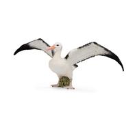 Albatros stěhovavý Collecta