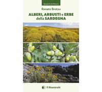 Alberi, arbusti e erbe della Sardegna - 2019 - Il Maestrale