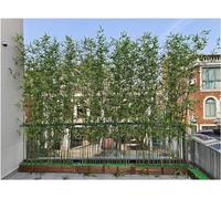 Alberi artificiali in bambù da 1 m di altezza, per esterni, piante simulate, divisorio per ristoranti, uffici, aeroporti, corridoi, decorazione da giardino