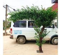 Alberi banyan verde artificiale grandi piante di simulazione decorazione interno albero hotel decorazione interno soggiorno alberghiera hotel centrale commerciale decorazione 1.8x1m/5.9x3.2ft