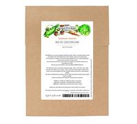 Alberi da frutto selvatici - set di semi con 3 ricche varietà di frutta selvatica