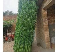 Alberi Di Bambù, Da Paesaggio E Piante Artificiali Modello Muschio For La Decorazione Della Casa, Giardini Delle Fate(10 Pack,2m/6.5ft Tall)