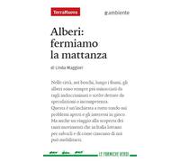 Alberi: fermiamo la mattanza