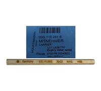 Alberino X Pompa Olio Audi VW Seat Skoda Ford Jeep 2.0cc TDI (100mm) 03G115281E