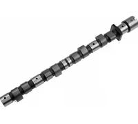 Albero a camme 428 0007 10 INA per BMW BERTONE