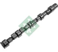 INA 428 0049 10 Albero a camme