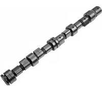 INA 428 0049 10 Albero a camme